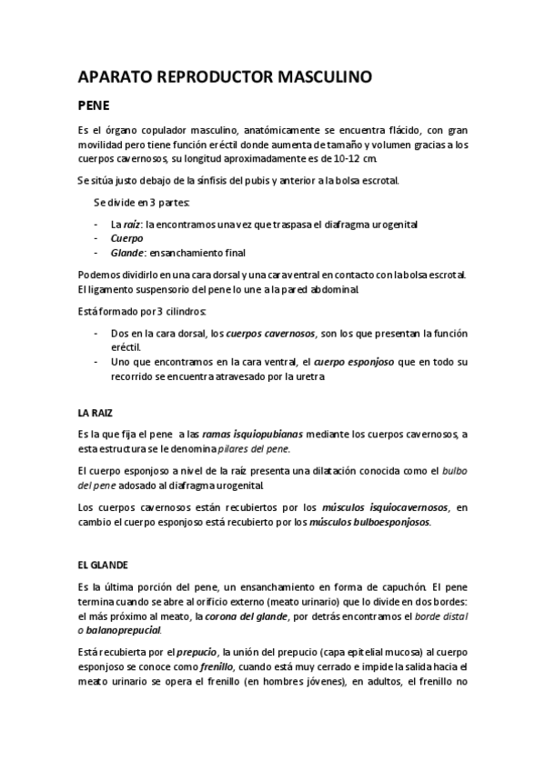 Miniatura del documento APARATO-REPRODUCTOR-MASCULINO.pdf