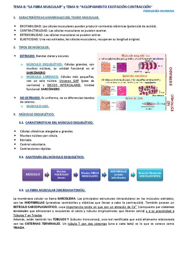 Miniatura del documento TEMA-8.pdf