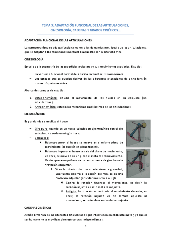 Miniatura del documento TEMA-3-CINESIOLOGIA-CADENAS-Y-GRADOS-CINETICOS.pdf