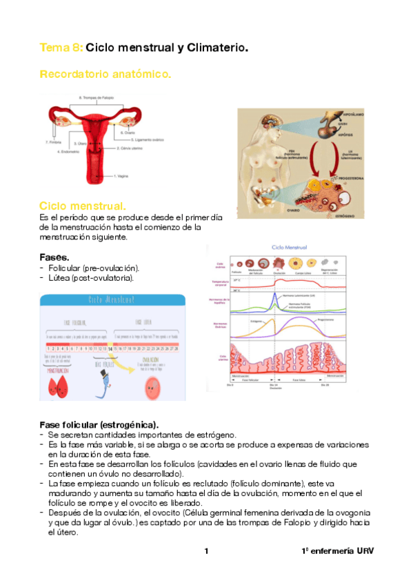 Miniatura del documento Tema-8.pdf