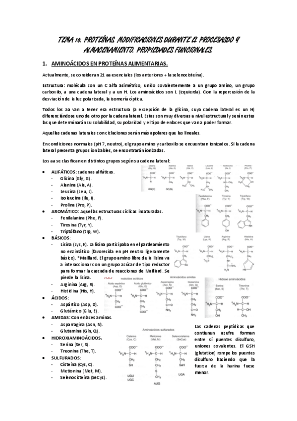 Miniatura del documento TEMA-10.pdf
