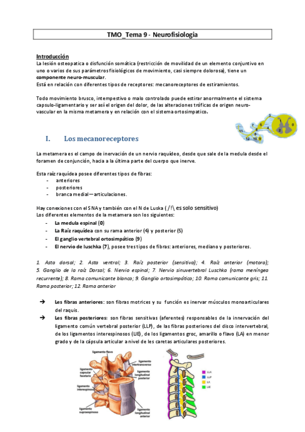 Miniatura del documento TMO-9-Neurofisiologia.pdf