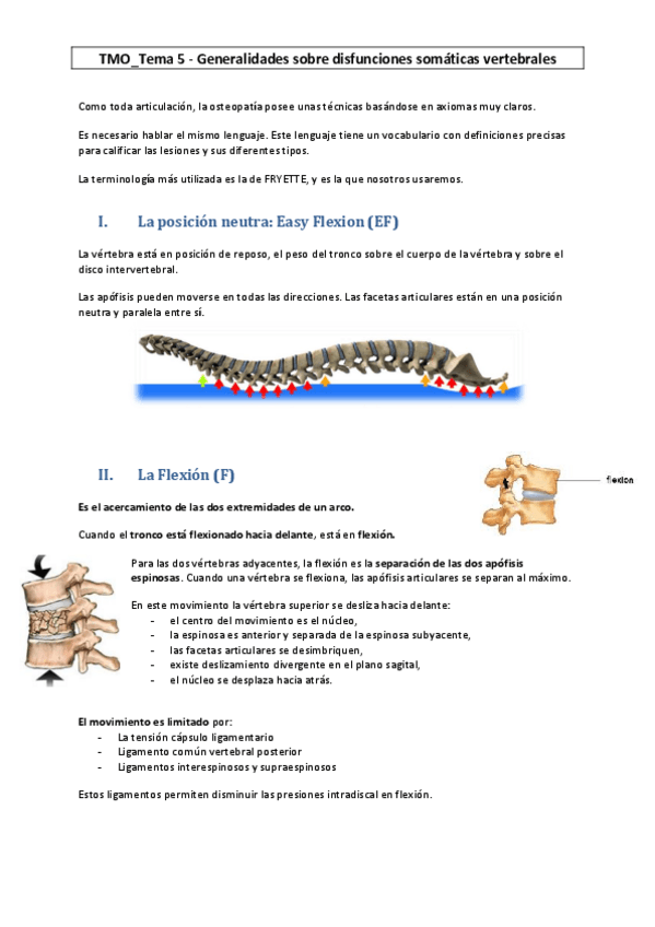 Miniatura del documento TMO-5-Generalidades-sobre-disfunciones-somaticas-vertebrales.pdf