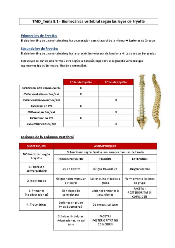 Miniatura del documento TMO-8-Biomecanica-vertebral-segun-Fryette.pdf