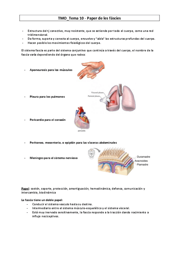 Miniatura del documento TMO-10-Papel-de-las-fascias.pdf