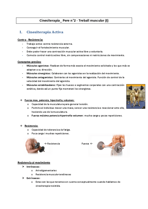 Miniatura del documento Cinesiterapia-Trabajo-Muscular.pdf