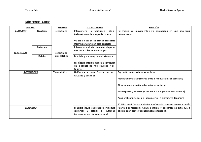Miniatura del documento Telencefalo.pdf