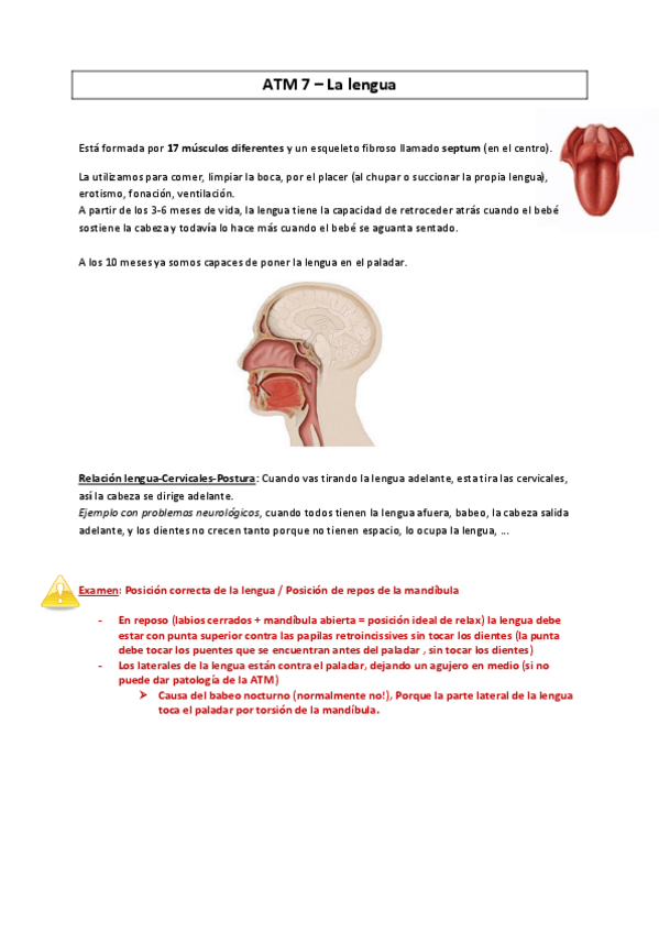 Miniatura del documento ATM-7-La-lengua--MC2016.pdf