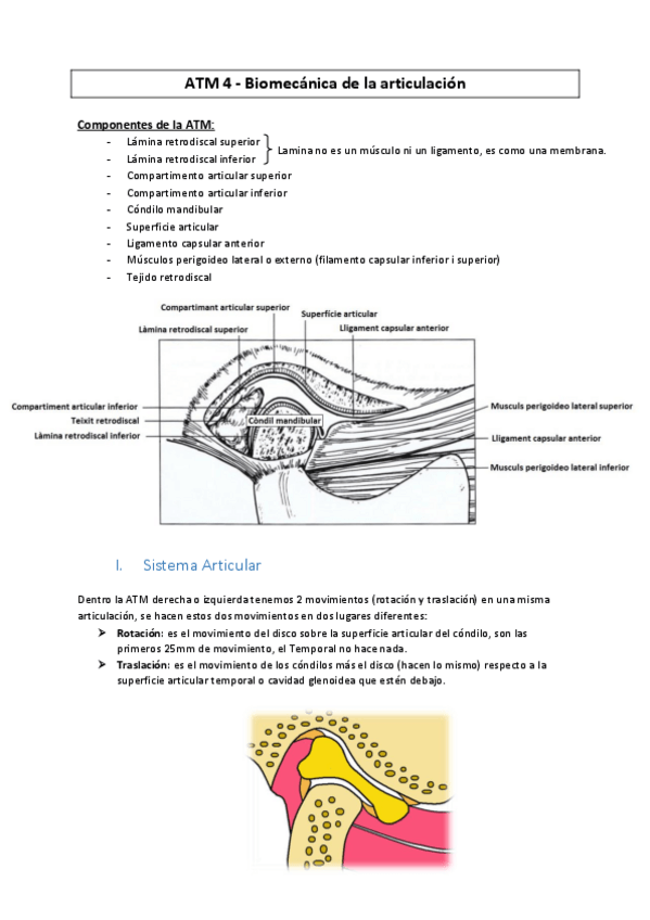 Miniatura del documento ATM-4-Biomecanica-de-la-articulacion--MC2016.pdf