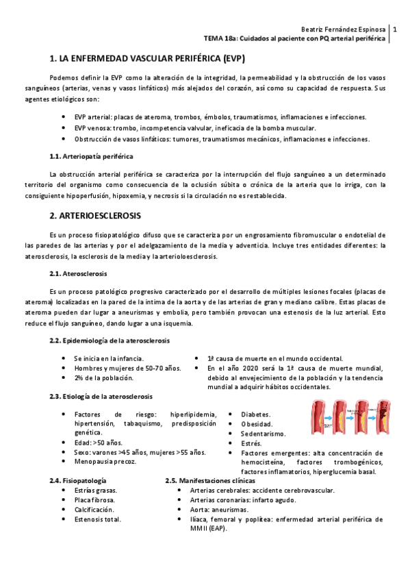 Miniatura del documento Tema-18aPQ-arterial-periferica.pdf