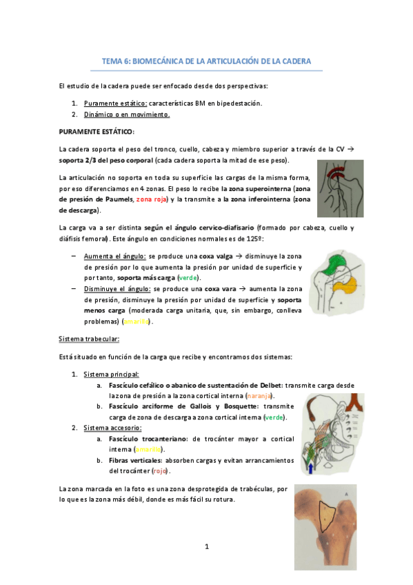 Miniatura del documento TEMA-6-BIOMECANICA-CADERA.pdf