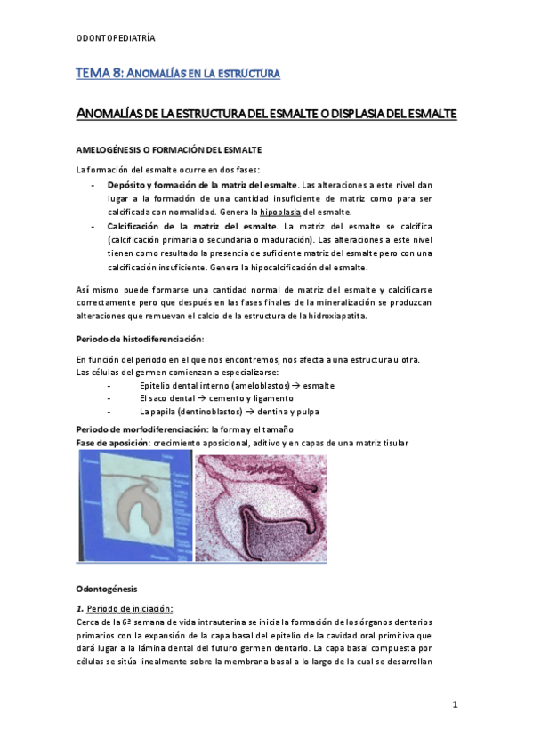 Miniatura del documento TEMA-8-Y-9-ODONTOPE.pdf
