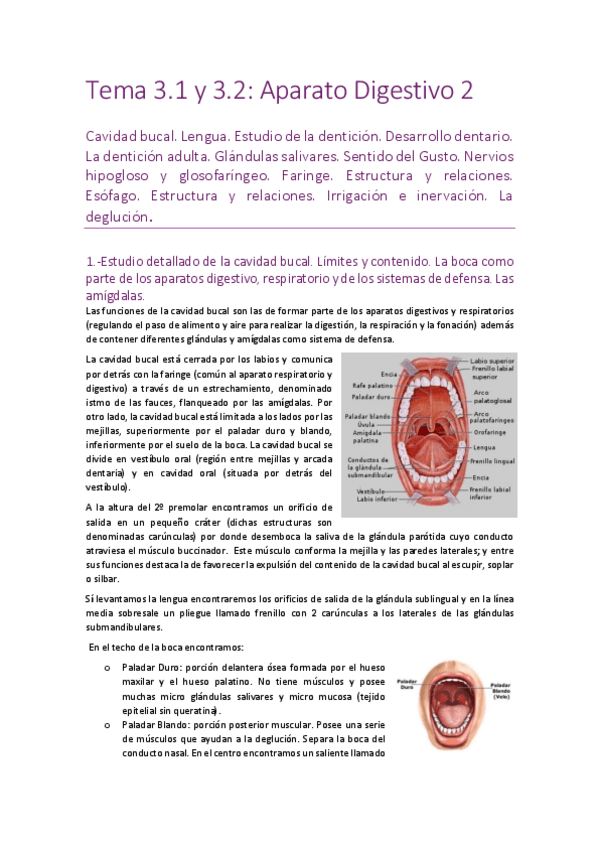 Miniatura del documento Tema-3.pdf