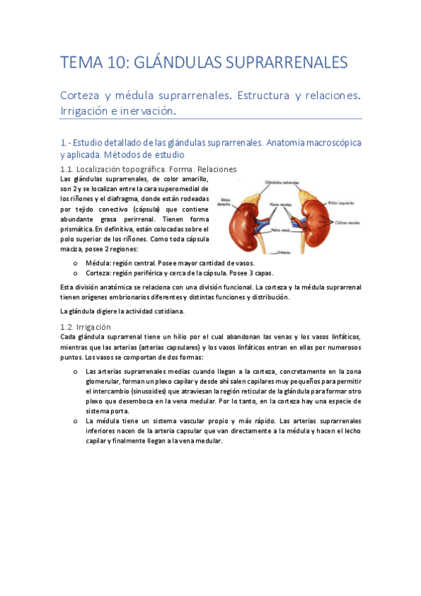 Miniatura del documento TEMA-10.pdf
