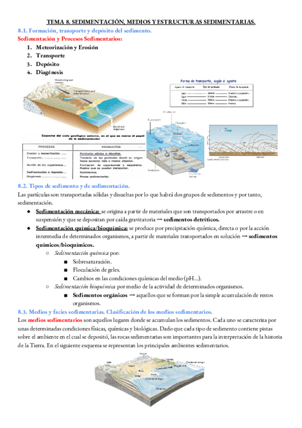 Miniatura del documento GEOLOGIA-TEMA-8.pdf