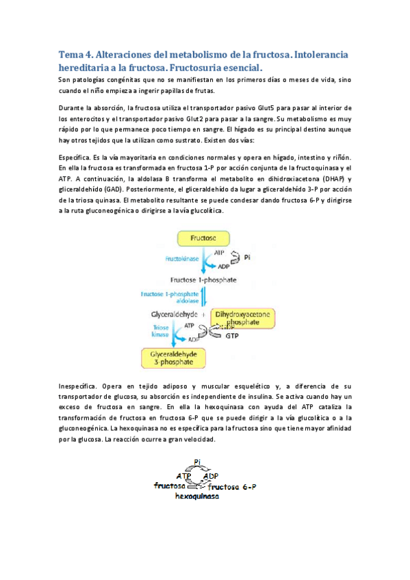 Miniatura del documento t.4 alteraciones del metabolismo de la fructosa.pdf