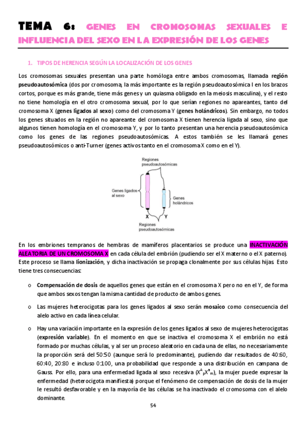 Miniatura del documento TEMA-6.pdf