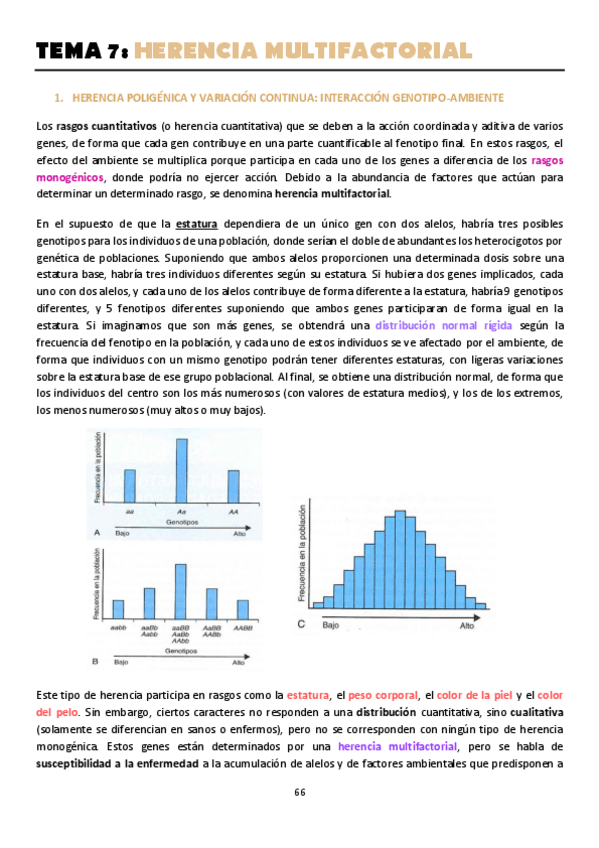 Miniatura del documento TEMA-7.pdf