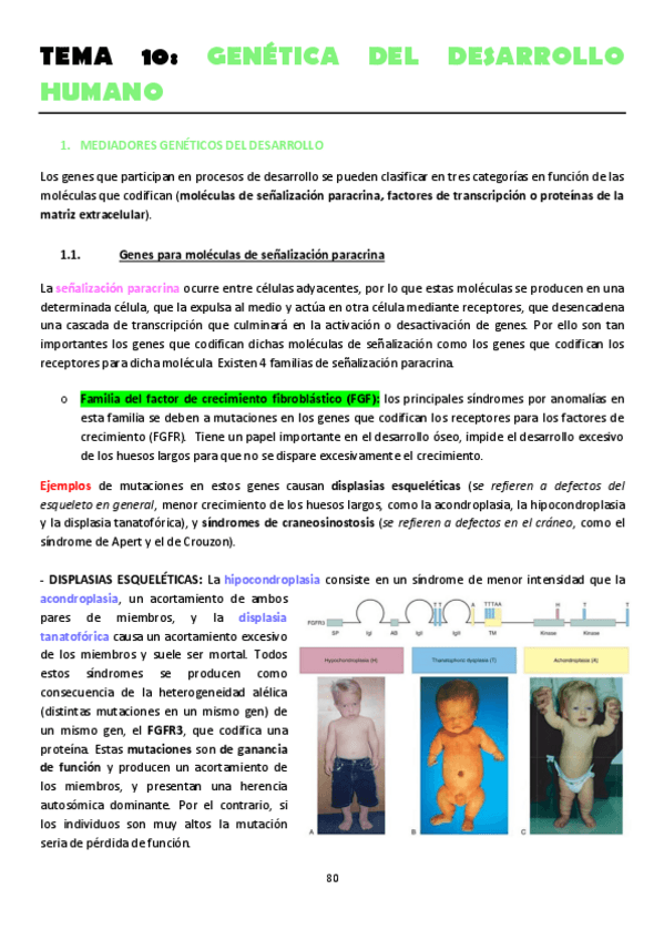 Miniatura del documento TEMA-10.pdf