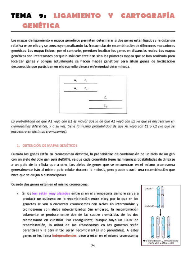 Miniatura del documento TEMA-9.pdf