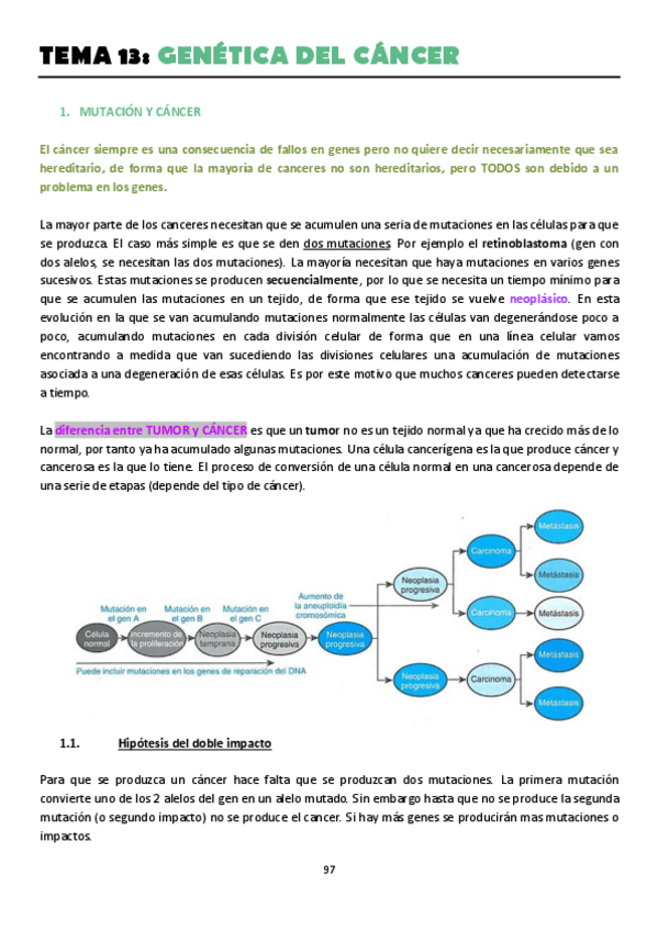 Miniatura del documento TEMA-13.pdf