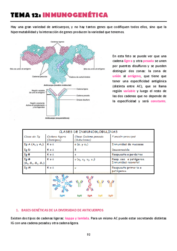Miniatura del documento TEMA-12.pdf