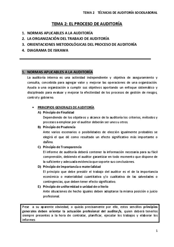 Miniatura del documento APUNTES TEMA 2 TÉCNICAS DE AUDITORÍA (33561).pdf