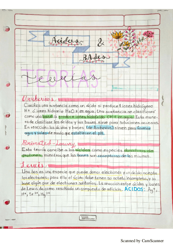 Miniatura del documento Acido-Base.pdf