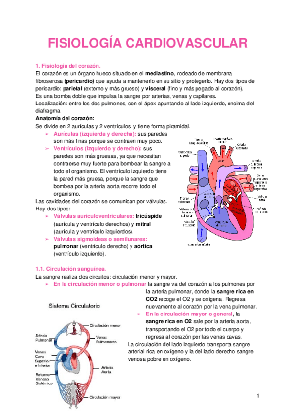 Miniatura del documento FISIOLOGIA-CARDIOVASCULAR.docx