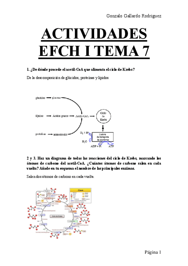 Miniatura del documento ACTIVIDADES-EFCH-I-TEMA-7.pdf