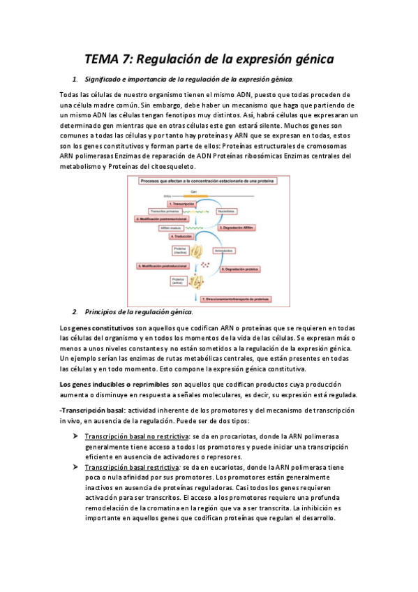Miniatura del documento TEMA-7.pdf