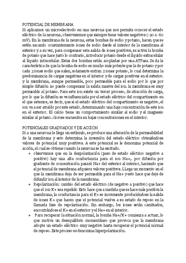 Miniatura del documento PREGUNTAS-IMPORTANTES-Primer-Parcial.pdf