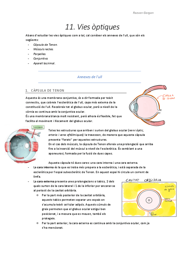 Miniatura del documento T11.pdf