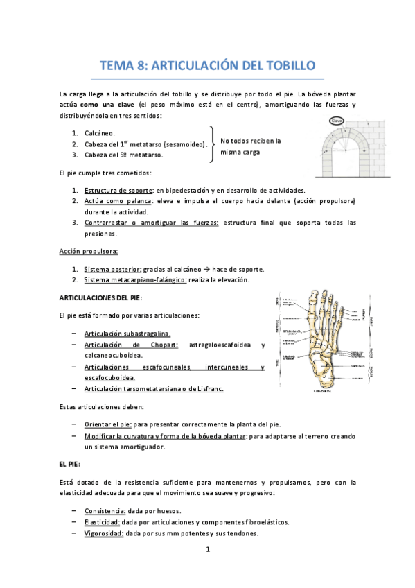 Miniatura del documento TEMA-8-ARTICULACION-TOBILLO--BOVEDA-PLANTAR.pdf