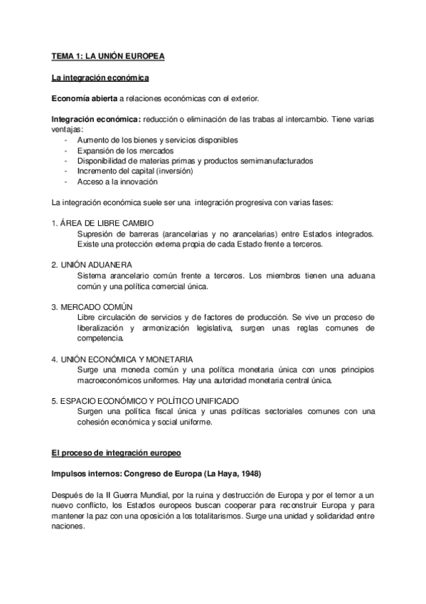 Miniatura del documento ESTR-T-1.pdf