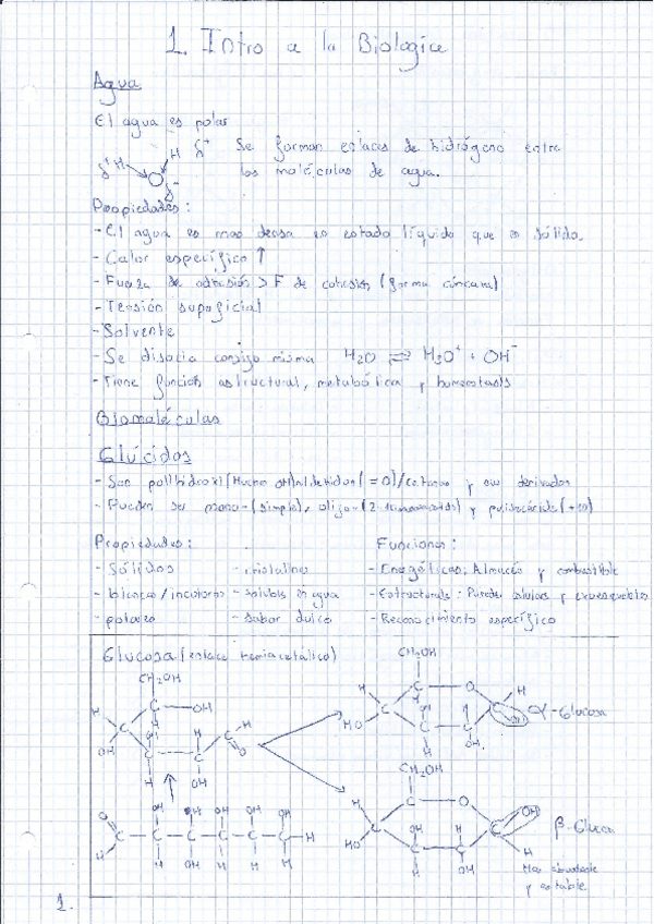 Miniatura del documento Resumen.pdf