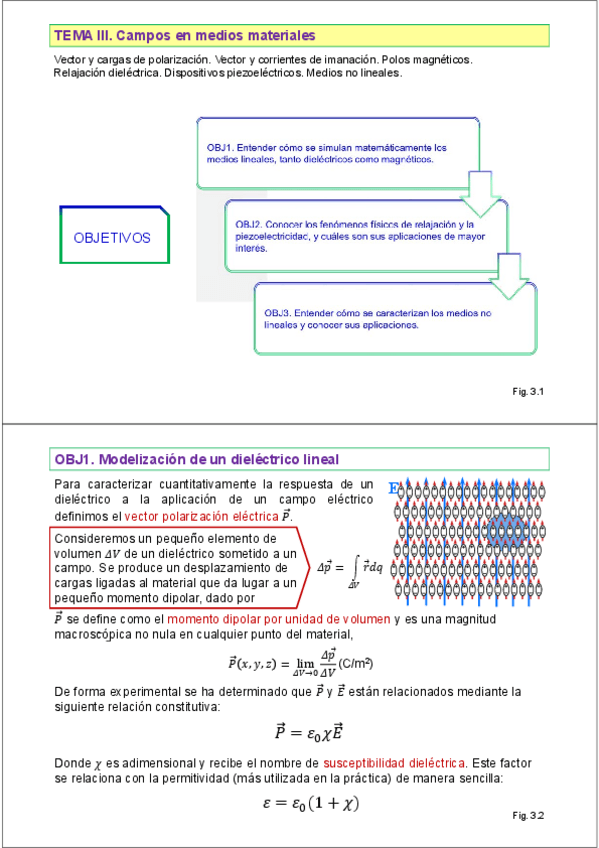 Miniatura del documento 030SlidesCamposenMediosMateriales.pdf