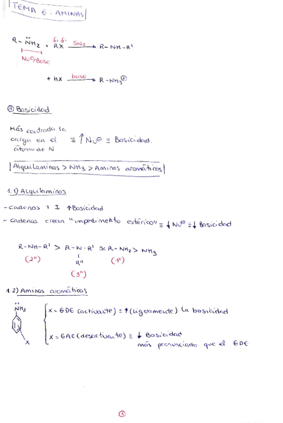 Miniatura del documento aminas.pdf