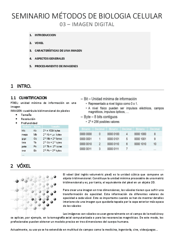 Miniatura del documento SEM MBC 03: Imagen Digital.pdf