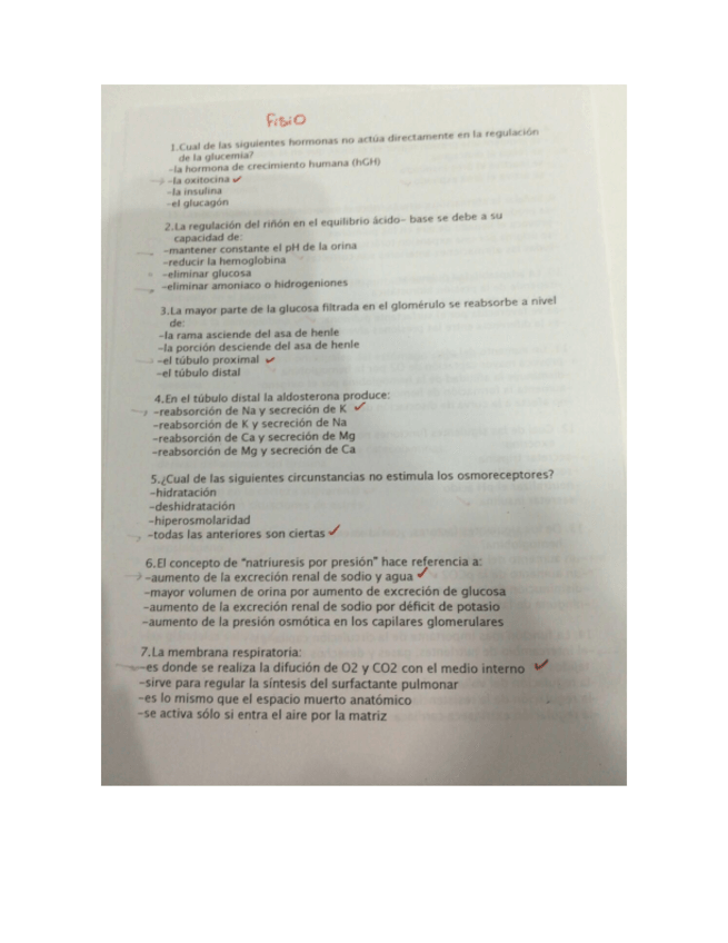 Miniatura del documento test.pdf