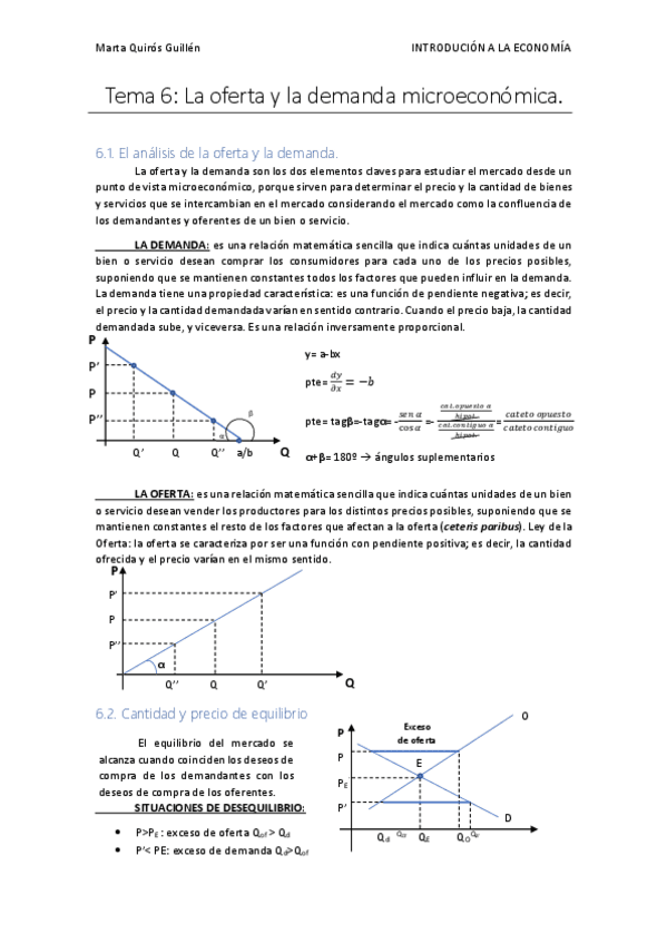 Miniatura del documento TEMA-6.pdf