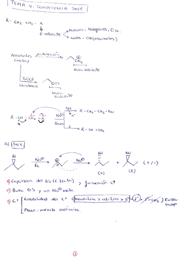 Miniatura del documento SN-E.pdf