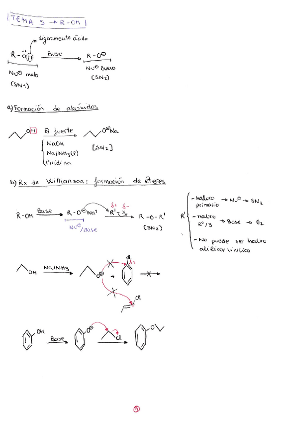 Miniatura del documento alcoholes.pdf