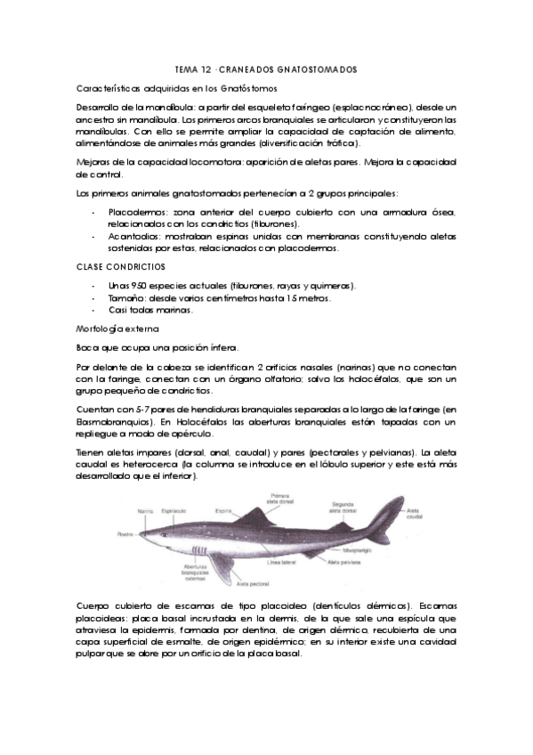 Miniatura del documento Tema-12-curso-19-20.pdf