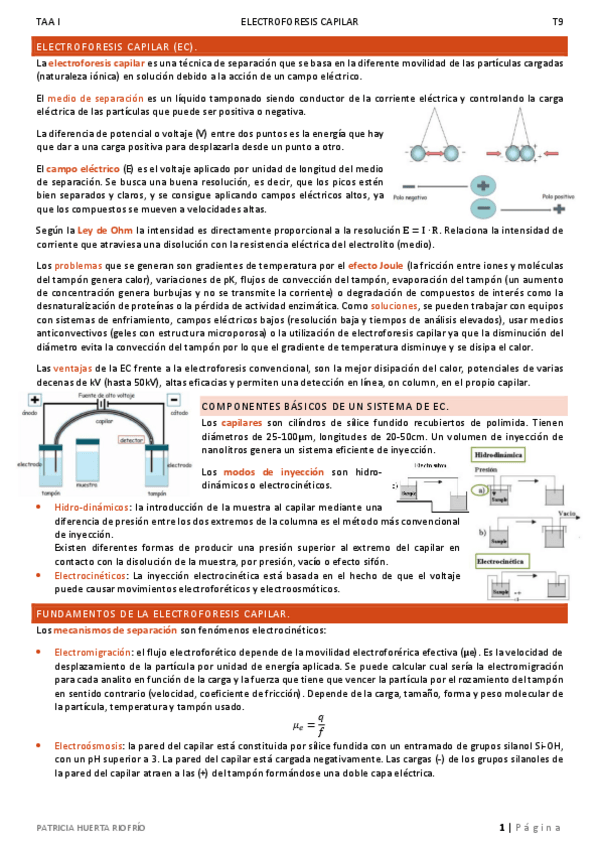 Miniatura del documento T9.pdf