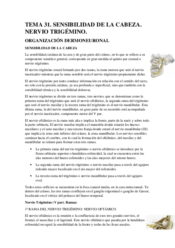 Miniatura del documento TEMA-31.pdf