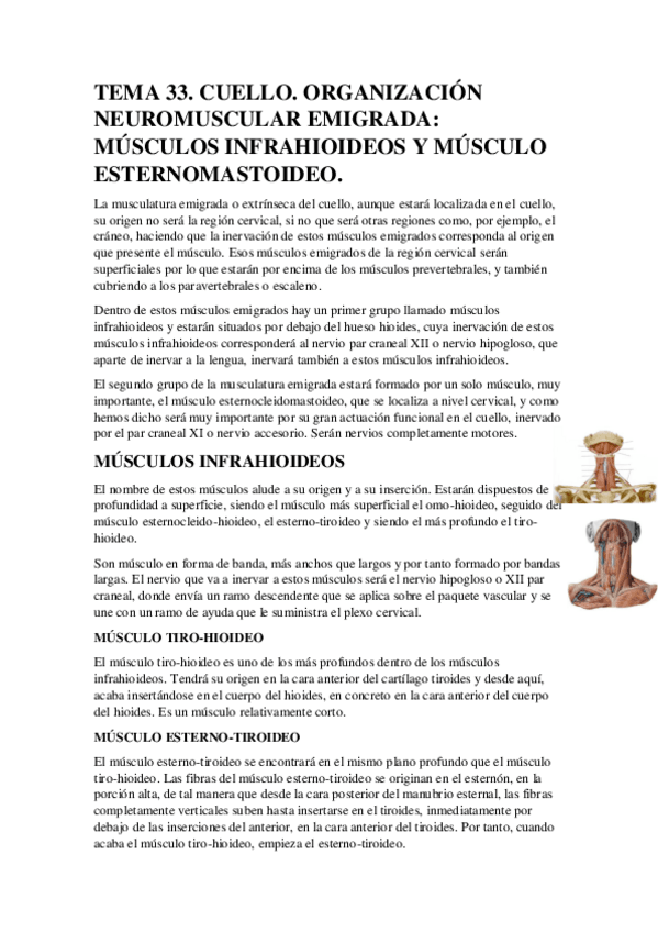 Miniatura del documento TEMA-33.pdf