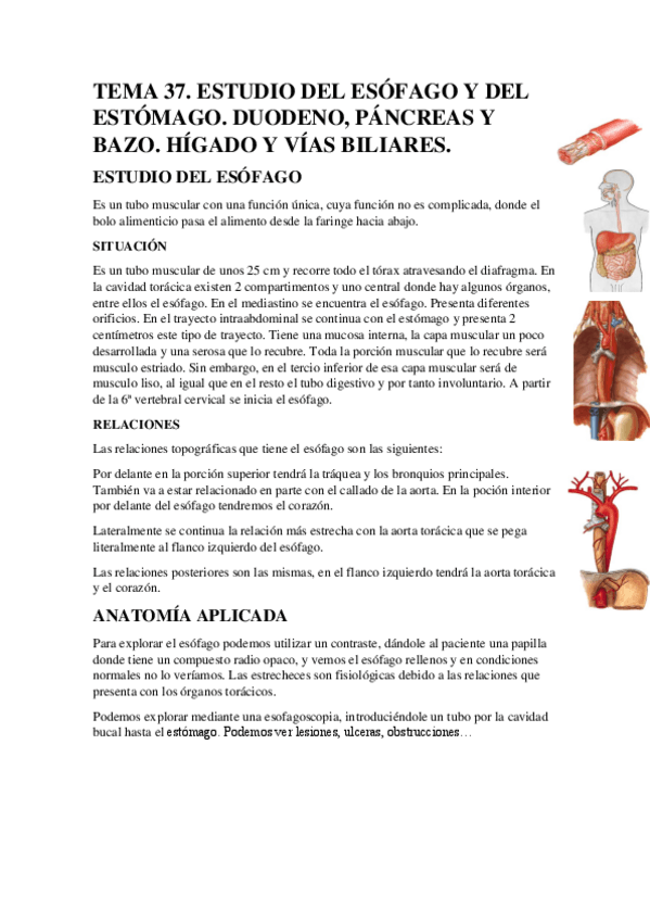 Miniatura del documento TEMA-37.pdf