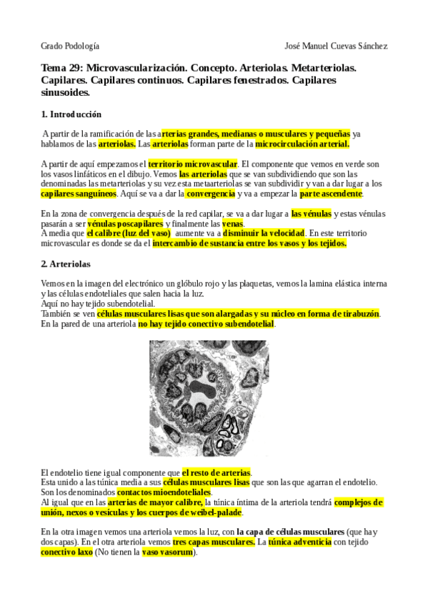 Miniatura del documento TEMA-29.pdf