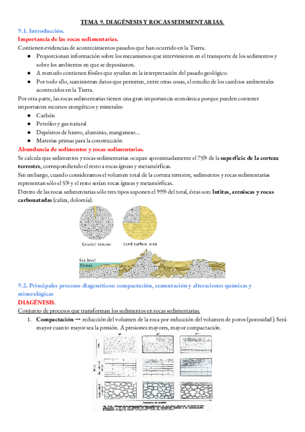 Miniatura del documento GEOLOGIA-TEMA-9.pdf